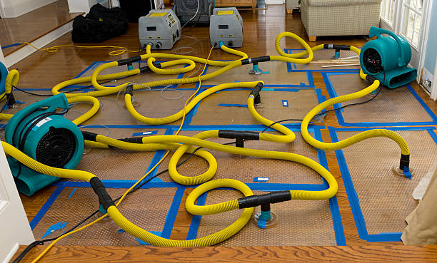 Professional Water Damage Repair technician working in Walhalla, SC
